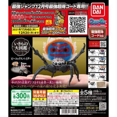 最強ジャンプ2021年12月号 ピーコックスパイダー
