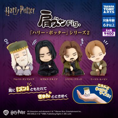 肩ズンFig. ハリー・ポッター2