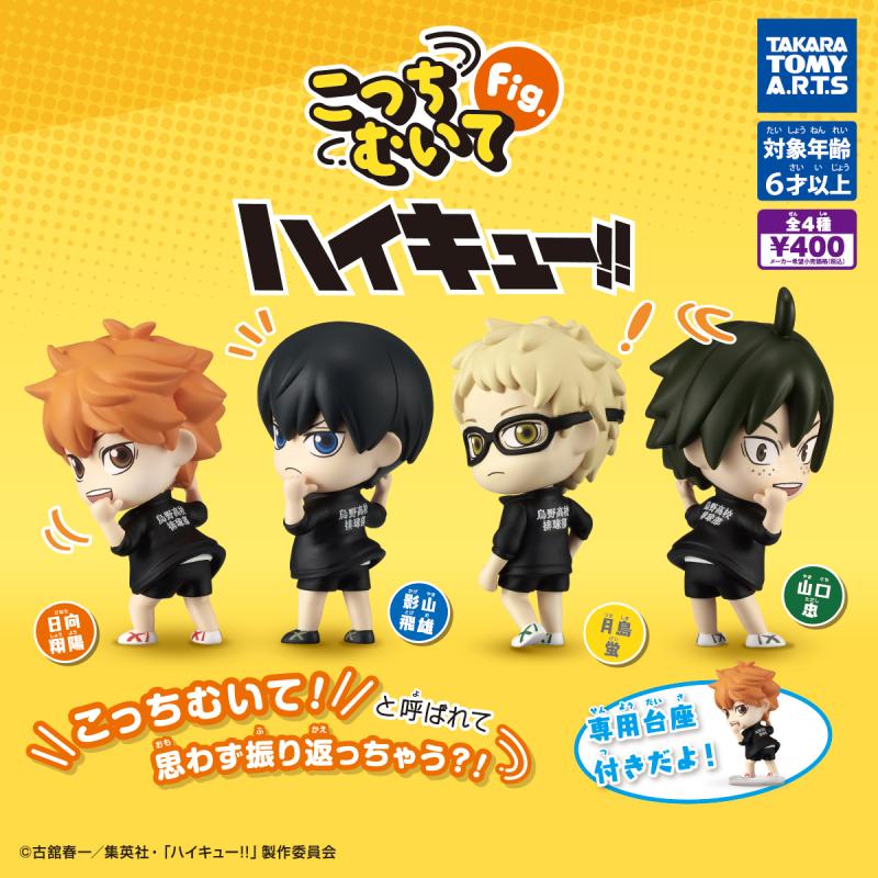 こっちむいてFig. 
ハイキュー!!