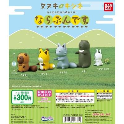タヌキとキツネ ならぶんです。