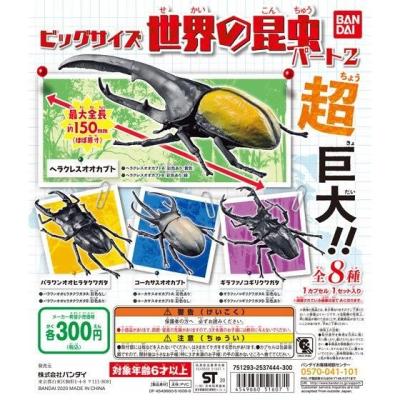 ビッグサイズ 世界の昆虫 パート2