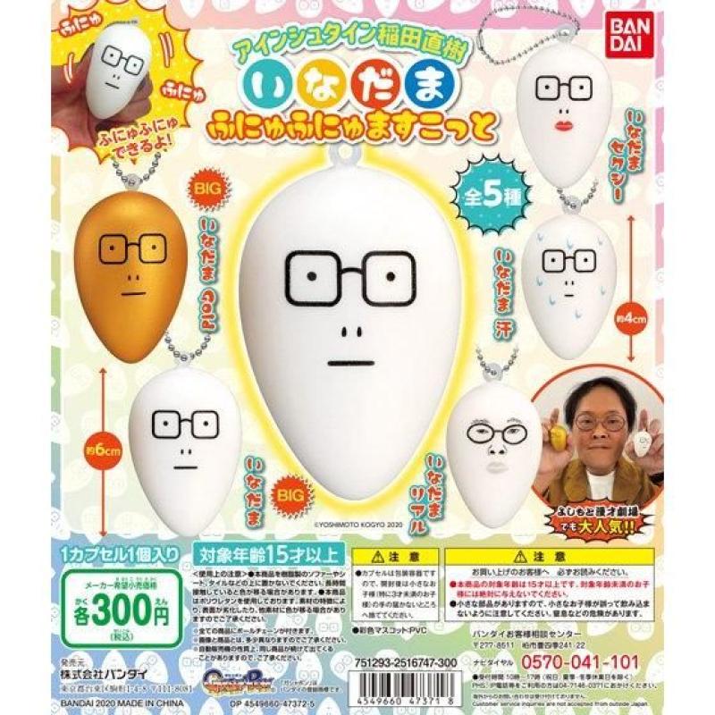 アインシュタイン稲田直樹　いなだま　ふにゅふにゅますこっと