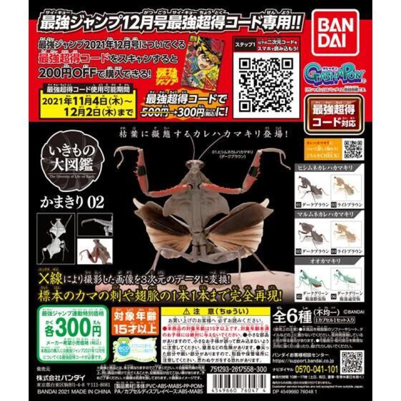 最強ジャンプ２０２１年１２月号　かまきり02