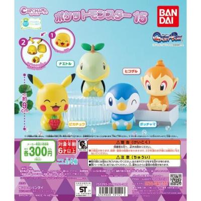 カプキャラ ポケットモンスター15
