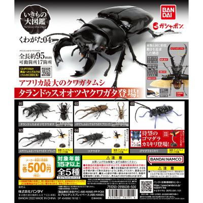 いきもの大図鑑 くわがた04
