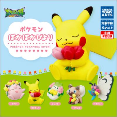 ポケモン ぽかぽかびより