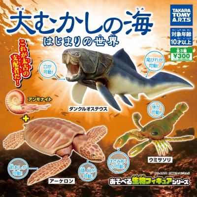 大むかしの海
はじまりの世界